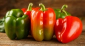 Жалею, что раньше не знал: вот чем подкармливать перец, чтобы вырос крупным, мясистым и вкусным