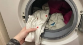 Почему вещи в машинке перестали отстирываться - как оказалось большинство хозяек сыпят порошок не в тот отсек
