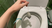 Уходя из дома, закидываю чайный пакетик в унитаз - рабочий совет от знакомой горничной