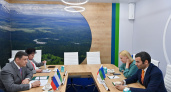 В Коми к 2027 году запустят производство флафф-целлюлозы