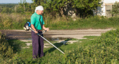 "И зачем так мучиться, убери леску с триммера": сосед из деревни подсказал, как легко косить траву и не тратиться на дорогую леску