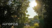Погода в Коми 13 июля: ожидается тепло, но возрастает пожароопасность