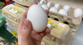 Работники птицефабрик никогда не покупают яйца в магазинах категории СО: вот почему стоит их обходить стороной - запомните навсегда
