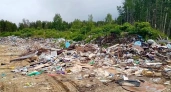 Власти Коми планируют ликвидировать 18 несанкционированных свалок
