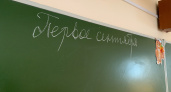 Галина Китайгородская: "Инициатива Ростислава Гольдштейна своевременна и важна для педагогического сообщества"