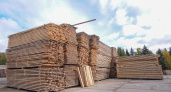 Коми нарастила экспорт леса: более миллиона кубометров отправлено в Азию и Африку