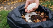 Бесплатное удобрение из осенних листьев: как за 15 минут создать ценный питательный субстрат для будущего урожая