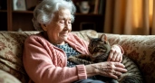 Людям старше 65 лет стоит быть осторожными рядом с кошками и вот почему: ученые объяснили причины