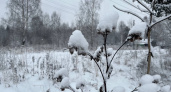 Коми встречает декабрь мокрым снегом и плюсовой температурой