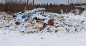 В Ухте не нашлось подрядчика для ликвидации свалки