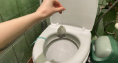 Уходя из дома, бросаю чайный пакетик в унитаз - действенный лайфхак опытной горничной