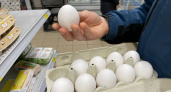 Почему работники птицефабрик обходят стороной отборные яйца, даже по скидке