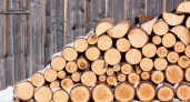 Не нужно ждать полгода, пока дрова высохнут: проверенные способы ускорить процесс сушки в разы