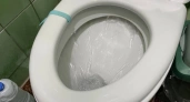 Почему на самом деле нельзя выкидывать туалетную бумагу в унитаз и выливать суп - запомните раз и навсегда