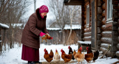 Как поддержать яйценоскость кур зимой: рецепт питательной зерновой смеси