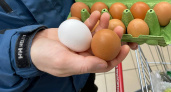 Коричневые или белые: вся правда о цвете яиц и цене на них