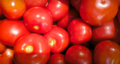 В Коми за неделю подорожали помидоры и подешевел картофель
