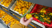 Продавцы не любят, когда покупатели это знают: как в супермаркете найти сладкие мандарины