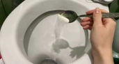 5 способов очистки: секреты горничных для идеального унитаза