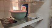 Бабушка хранила продукты в холодильнике месяцами и они не портились: советские методы – проверены временем