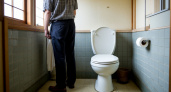 Почему японцы садятся на унитаз лицом вперед: причина поражает — но здравый смысл в этом есть