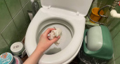 Слишком поздно узнал, почему нельзя выбрасывать туалетную бумагу в унитаз: все объяснил знакомый сантехник