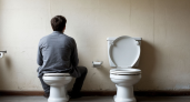 Почему японцы садятся на унитаз лицом вперед: причина поражает — но зерно истины в этом есть