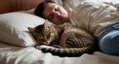 Тайный код кошачьей привязанности: почему ваша кошка спит именно с вами