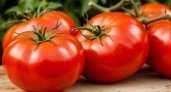 Томат «Тяжеловес Сибири»: крупноплодный сорт для регионов с холодным летом