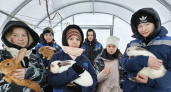 В школьной теплице в Коми появились редкие кролики