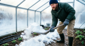 Узнал у соседа, зачем он заносит снег в теплицу зимой. Теперь делаю так же и всем советую