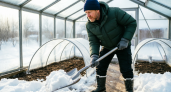 Узнал у соседа, зачем он заносит снег в теплицу зимой. Теперь делаю так же и всем советую