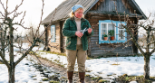 Зачем деревенские жители подрезают плодовые деревья весной: секрет, о котором многие не знают