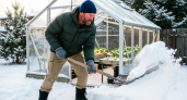 Узнал у соседа, зачем он заносит снег в теплицу весной. Теперь делаю так же и всем советую