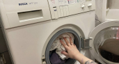 После начала стирки, а не до: мастер по ремонту рассказал, как правильно нужно засыпать порошок в машинку