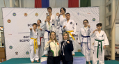 Тхэквондисты Коми завоевали 11 медалей на турнире в Казани