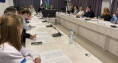 Общественный совет при Минмолодежи Коми утвердил план работы на 2026 год