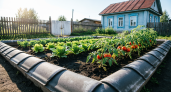 «Вечные грядки» в селе сооружают уже 3 года: теперь и сам делаю так же – рассказываю, зачем и сколько это стоит