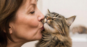 Почему нельзя целовать кошек в нос — не всё так безобидно, как может казаться