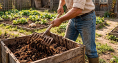 Два простых способа приготовить органическое удобрение из куриного помёта