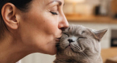 Не целуйте кошку: почему кошки воспринимают наш поцелуй как оскорбление