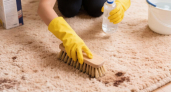 Теперь мои ковры всегда как новые: показываю простой способ как без усилий удалить все загрязнения 