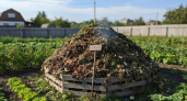 Черное золото из мусорной кучи: 3 главных действия в апреле, чтобы к лету завалить грядки удобрением