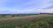 Народные приметы мая 2026 года: что готовит нам конец весны