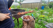 Мясо просто тает во рту: 3 варианта вкусно замариновать свинину для сочного шашлыка