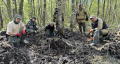 В Коми поисковики подняли останки 12 бойцов Красной армии в Новгородской области