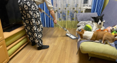 Часы на уборку больше не трачу - есть способ избавиться от пыли дома за минуты: китайский метод поддержания чистоты
