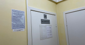 В Коми около 150 человек заразились лишаем за год