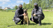 ОМОН "Зырянин" провел профориентационное занятие для кадетов в Коми