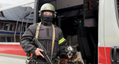 Четвероногие бойцы Росгвардии защищают жителей Коми от скрытых угроз